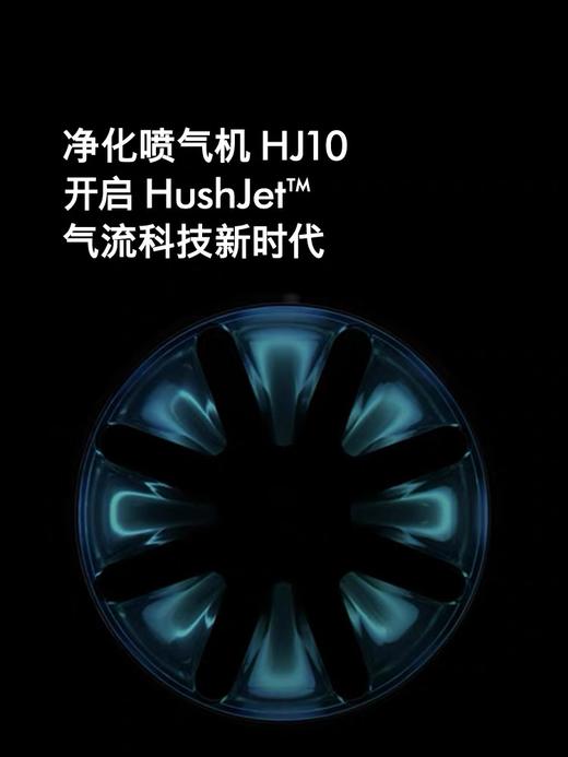 1楼戴森HJ10 空气净化器 商品图1