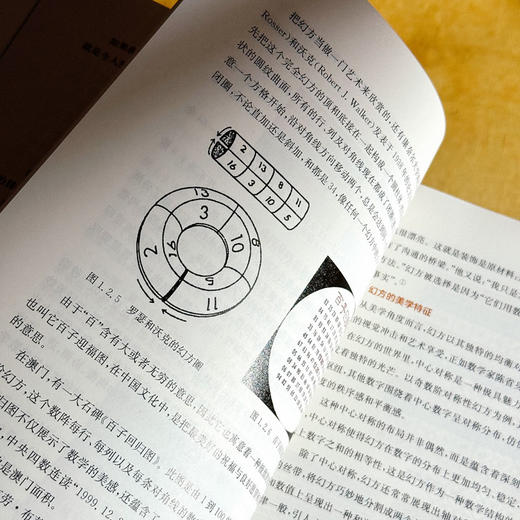 幻方的数学原理 美学价值与哲学意蕴 数学幻方科普图书 初等算术 陈玉琨 商品图10