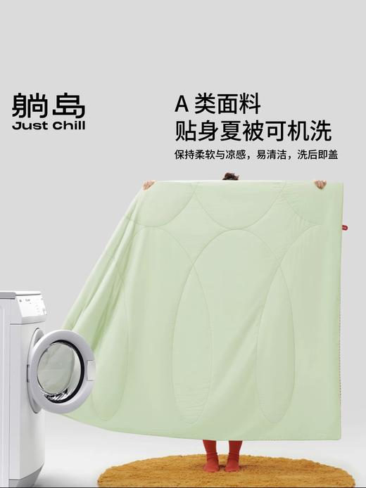 躺岛冬被二合一组合子母被被芯双人被子春秋被单人冬被芯四季可用 商品图2