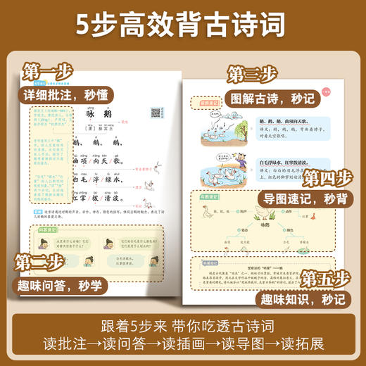 2025年新版小学生必背古诗词75首+80首人教版一二三四五六年级小学初中语文文言文古诗文学常识理解性默写专项训练古诗文读写速记 商品图2