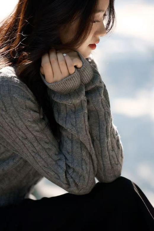 进口澳洲羊毛上羊绒拧花经典毛衣 商品图3