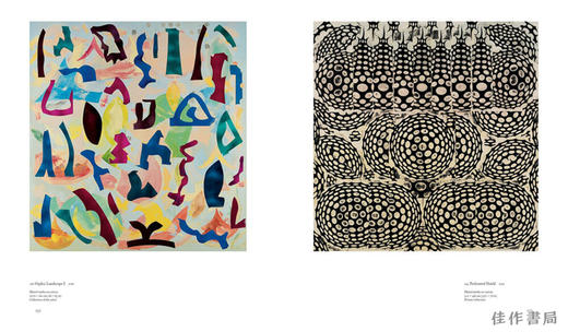 Philip Taaffe (Contemporary Painters Series)  / 菲利普·塔夫（当代艺术家系列） 商品图3