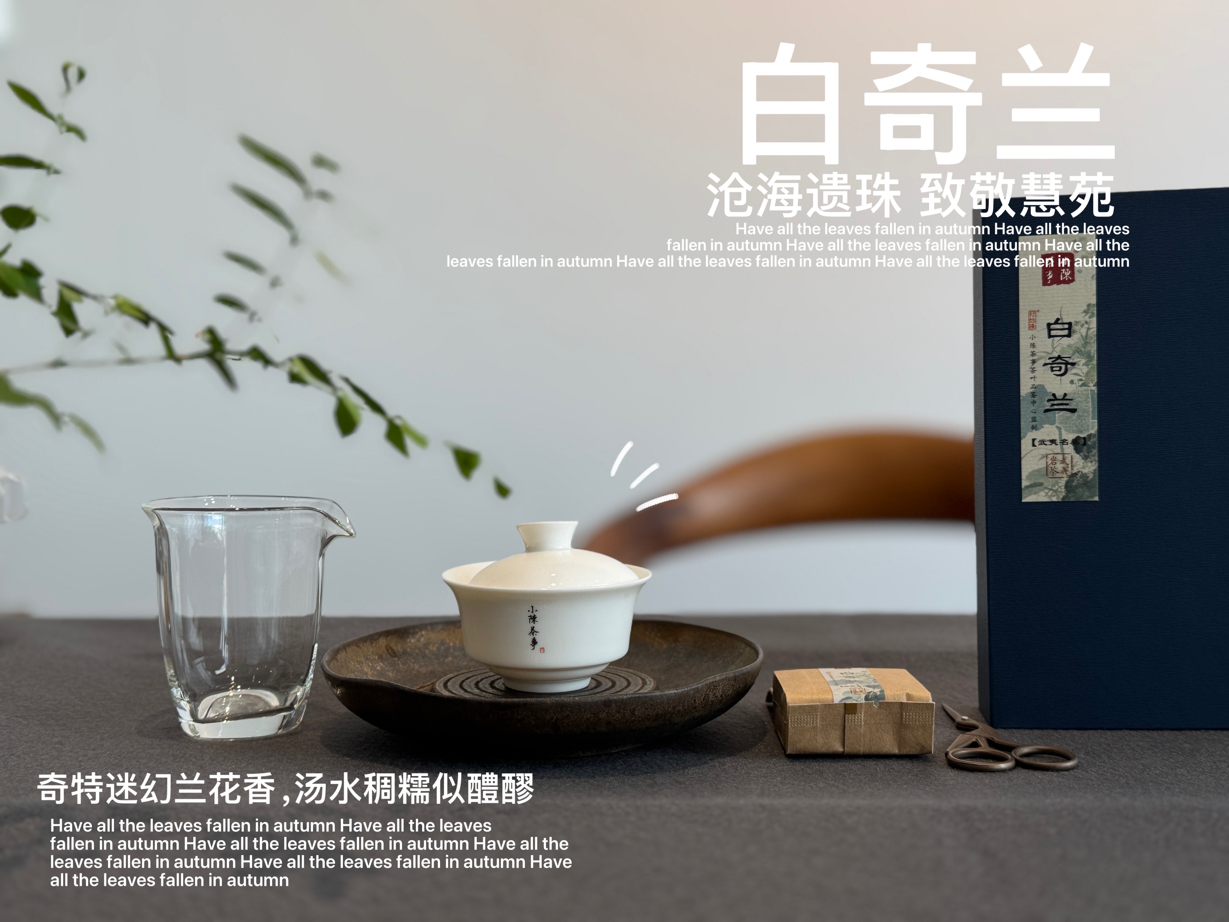 【稀缺名丛】正岩名丛《白奇兰》，十年来才第一次喝到的岩茶顶流，稠如醴酪，一下子就醉了