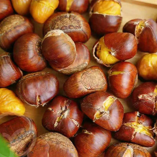 【迁西板栗】品种优异，迀西核心产地，品种发源地，单一黄金生长区，精心种植，科学管理-CC 商品图0