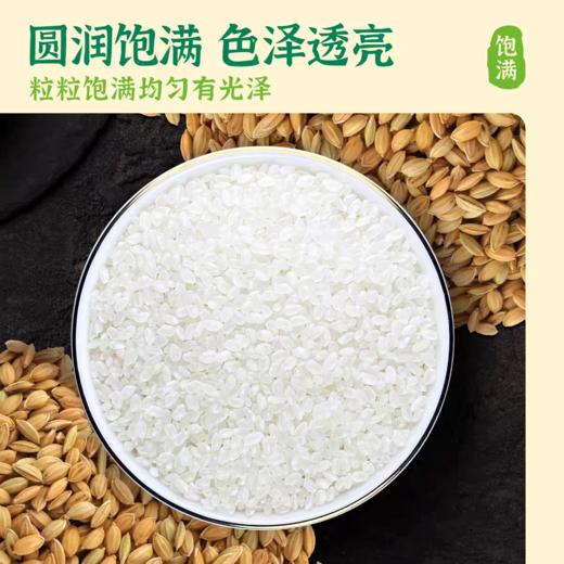 【云谷稻香米】【华大万物】来自岭南多年生稻米 2.5千克/袋 香甜软糯 入口回甘！ 商品图1