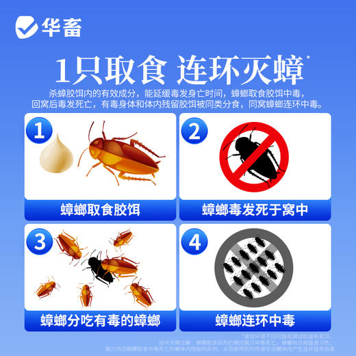 华畜 防治蟑螂 杀蟑胶饵 引诱性强 连环灭蟑 居家适用 商品图2
