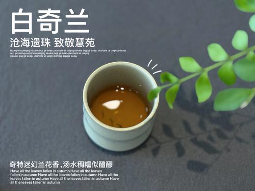 【稀缺名丛】正岩名丛《白奇兰》，十年来才第一次喝到的岩茶顶流，稠如醴酪，一下子就醉了 商品图10