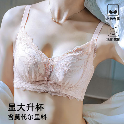 雅黛俪小胸聚拢显大女士内衣性感甜美蕾丝上薄下厚杯文胸罩 商品图0