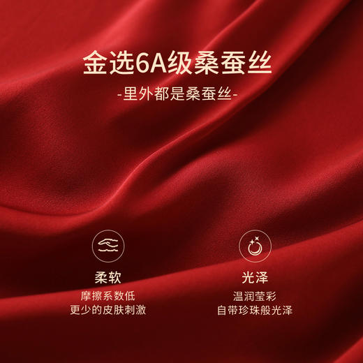 一起红】金三塔桑蚕丝文胸内裤套装女本命年新年婚庆红色舒适内衣（私密物品不支持退换货）NSFAC313+NZFAC213+NZFFA302+NZSSD203 商品图4