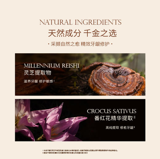 品牌直发 GraceSmile 维笑 灵芝护龈修护精华 1.2gx8支 商品图1