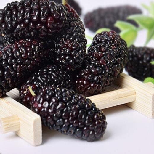 百益兴·桑葚干 256g  新疆原产含花青素 干吃泡水双美味 商品图1