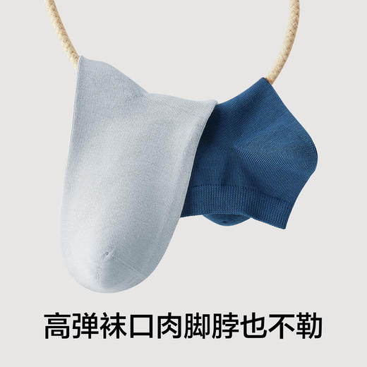 【10A抗菌】有棵树纯棉透气吸汗男士短筒袜6双装-O4055D 商品图4