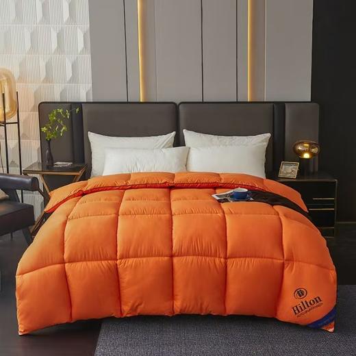 【希尔顿同款定制羽丝绒被】羽丝绒棉被芯春秋冬被 加厚保暖被子送礼袋 商品图10