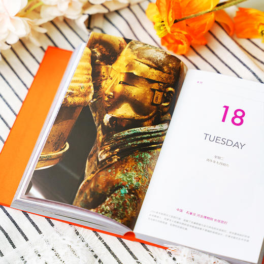 美丽的地球：2026日历 12个月 12种旅行主题 319处旅行目的地，一个懂你的“旅行搭子”  可撕设计 日历书 商品图5