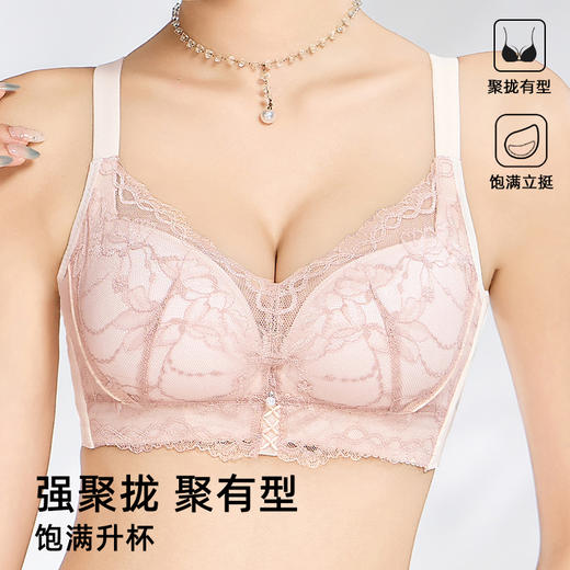 雅黛俪小胸聚拢显大女士内衣性感蕾丝提拉收副乳文胸罩 商品图0