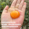 每月一囤！【预售】【散养土鸡蛋】纯粮慢养+散放觅食，拒绝激素、抗生素，拒绝高密度笼养，拒绝速成鸡，生态间小群散养。 商品缩略图7