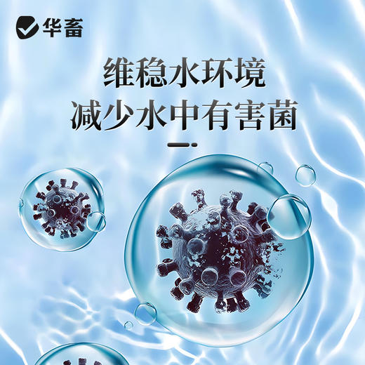 华畜鱼康宝调节水质水族鱼缸用烂尾烂鳃蒙眼水霉观赏鱼调理健康 商品图3