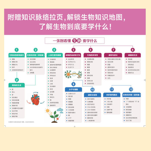 不可不知的100个生物学知识点 人大附中 北京四中 北京市特级教师 划重点 涵盖生物学知识点、考点和典型例题 商品图3