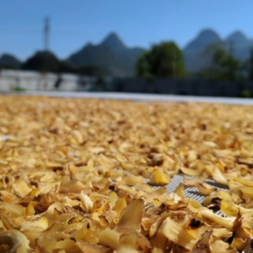 野生百合干 | 公平贸易 |*Wild Dried lily