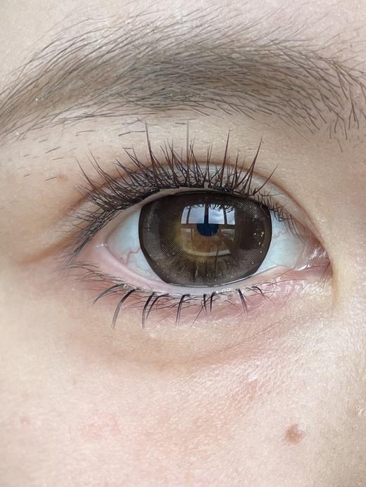 Ocean girl 旗下 · 浓郁可可&暗夜紫黑｜ 14.5mm白狮参考着色大直径｜ 半年抛2片 商品图1