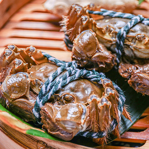 蟹小杰 阳澄湖大闸蟹礼券 1499型 全公蟹3.5两10只 商品图8