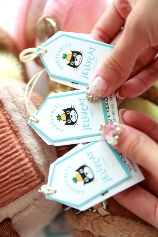 史诗级更新！！！提前2个月，可爱安抚式毛绒玩具挂件礼物C092588 商品图1