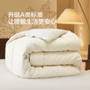 水星家纺抗菌四季被冬被被芯被子保暖A类艾草被家用床上用品严选 商品缩略图3