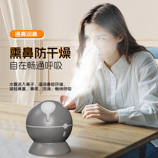 金稻蒸脸器纳米蒸汽喷雾机大喷雾面部家用美容仪器冷热双喷加湿器 商品图1