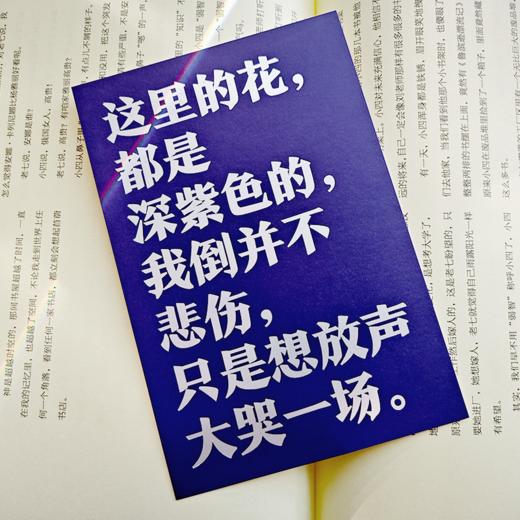 钟书阁经典名著金句语录烫金明信片 商品图10