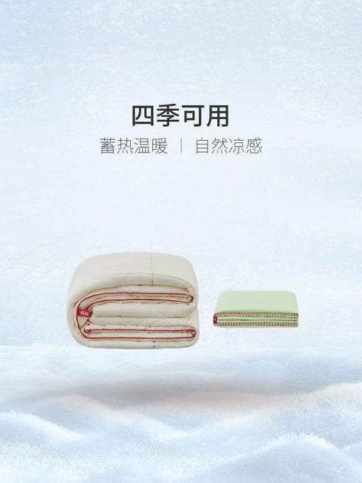 躺岛冬被二合一组合子母被被芯双人被子春秋被单人冬被芯四季可用 商品图4