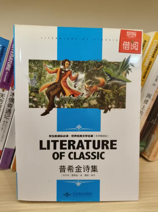 【独家旧书3折】 普希金诗集 二手书籍（新疆 西藏 甘肃 青海 海南不发货）bj 商品图0