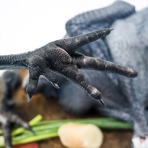 淘鲜拾光 农家散养乌骨鸡1000*1 商品图1