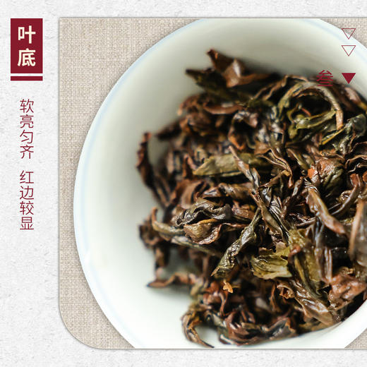 【山纯限品】2025年一等奖大红袍17g 商品图4
