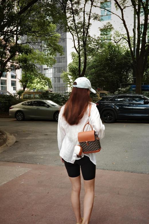 GZ237-戈雅goyard alpin迷你双肩包背包 三色合集(JF*MM) 商品图2