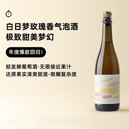 企鹅吃喝|宁夏“白日梦”玫瑰香气泡葡萄酒 自酿轻发酵 年度爆款Sparkling Wine 梦幻香甜微醺 商品图0