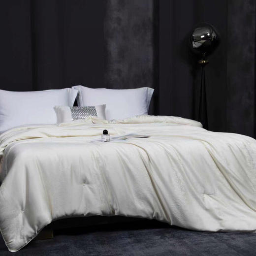 LHX1820  黄金蚕丝羊绒冬被 商品图2