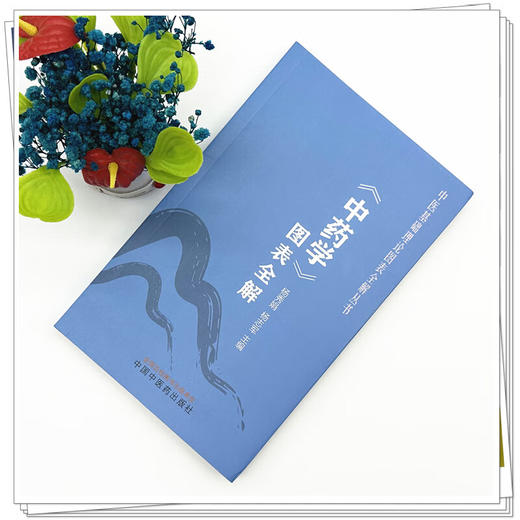 《中药学》图表全解 中医基础理论图表全解丛书 杨秀娟 杨志军 主编 中医入门 考点速记 口袋书籍 9787513297141中国中医药出版社 商品图2