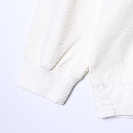 8610SDSA男士秋冬新款痞帅男装美式撞色绒毛刺绣字母圆领卫衣百搭宽松 商品图4