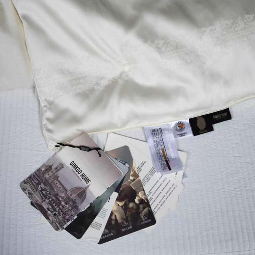 LHX1820  黄金蚕丝羊绒冬被 商品图3