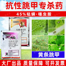 跳甲专杀药剂哒螨灵噻虫胺抗性黄条跳甲专用杀虫剂高含量农用正品