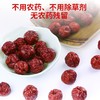 【评测好物】（西域丝路风情）（富硒）特级无农药残留蟠枣干【108克*3罐】（jz-3004） 商品缩略图4