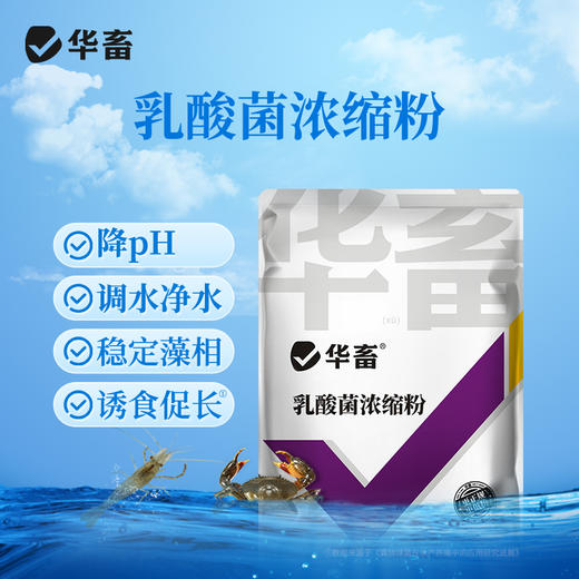华畜乳酸菌浓缩粉发酵水产养殖专用复合芽孢杆菌有益生菌原种液药 商品图1
