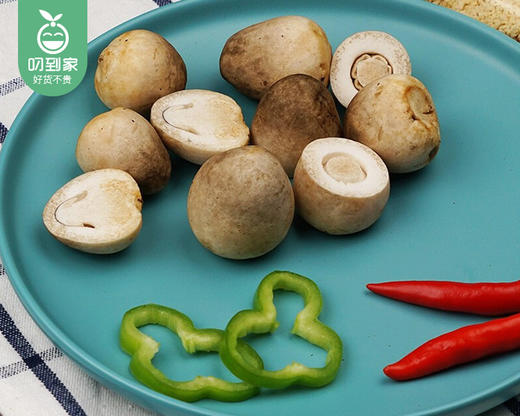 漳州新鲜草菇（约200g/包） 商品图2