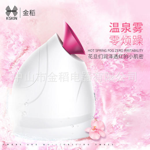 金稻冷热喷蒸脸器双喷细腻喷雾补水打开毛孔清洁美容仪深层补水 商品图0