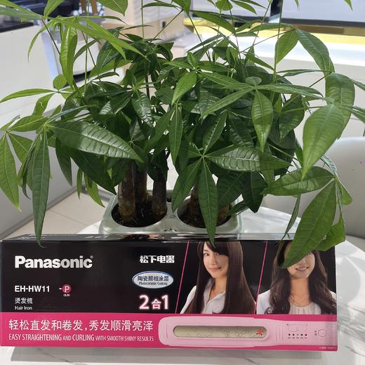 【春上新】10楼松下夹板直发卷发两用直发器电夹板HW11   吊牌价199元  活动价129元 商品图2