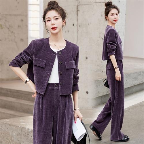 名媛气质时尚减龄显瘦，雪尼尔裤装两件套HR-GJC2312 商品图3