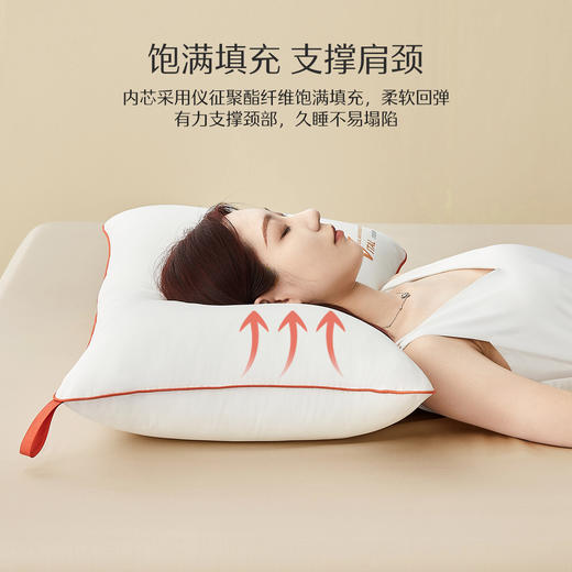 水星家纺柔软舒适净芯阻螨三防对枕酒店枕芯（到手两只） 商品图3