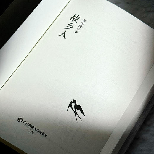 故乡人 薛忆沩短篇小说集 故乡怀念 精装 商品图5