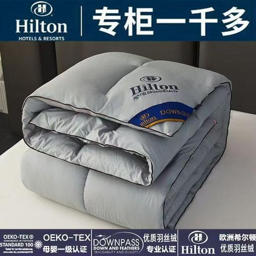 【希尔顿同款定制羽丝绒被】羽丝绒棉被芯春秋冬被 加厚保暖被子送礼袋 商品图3