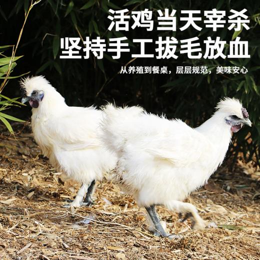 【东上御品 山间散养乌鸡 】1000g*2只 商品图4